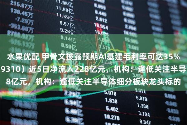 水果优配 甲骨文披露预期AI基建毛利率可达35%，芯片ETF天弘（159310）近5日净流入228亿元，机构：逢低关注半导体细分板块龙头标的