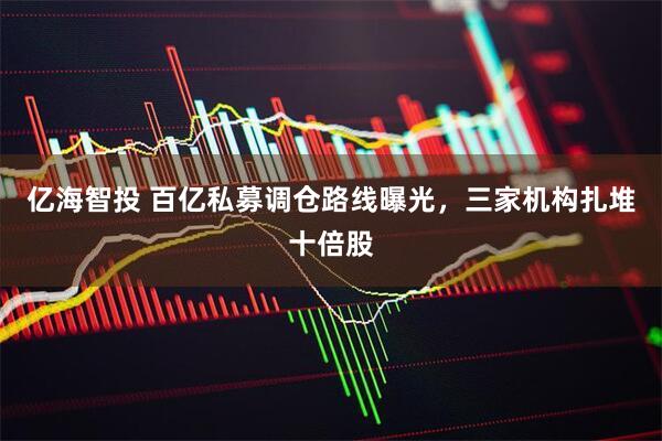 亿海智投 百亿私募调仓路线曝光，三家机构扎堆十倍股