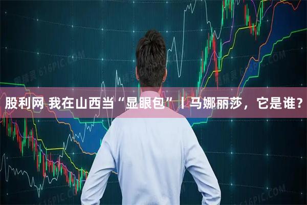 股利网 我在山西当“显眼包”丨马娜丽莎，它是谁？